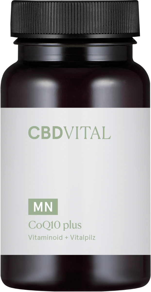 Kapseln Coenzym Q10 plus - CBD Vital