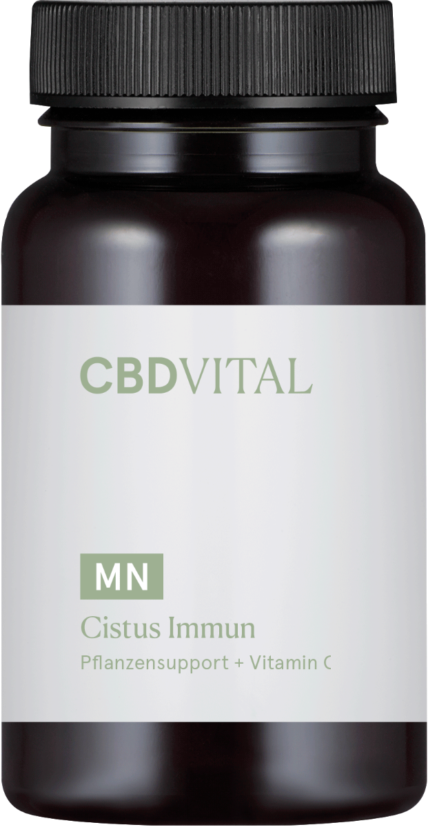 Kapseln Cistus Immun - CBD Vital