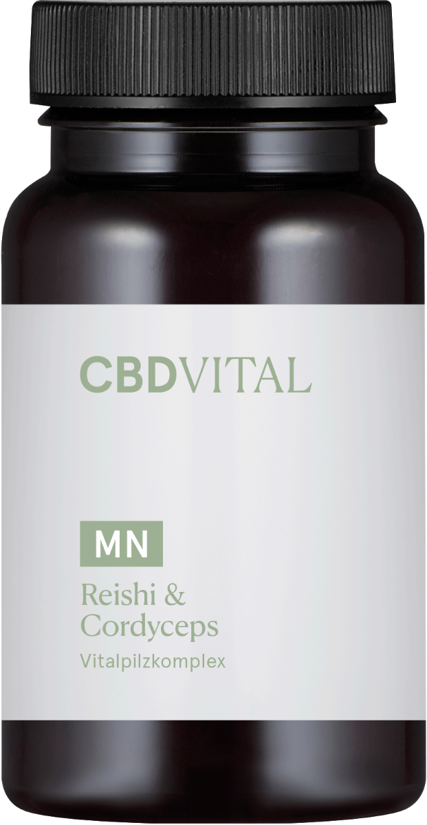 Kapseln Reishi & Cordyceps - CBD Vital