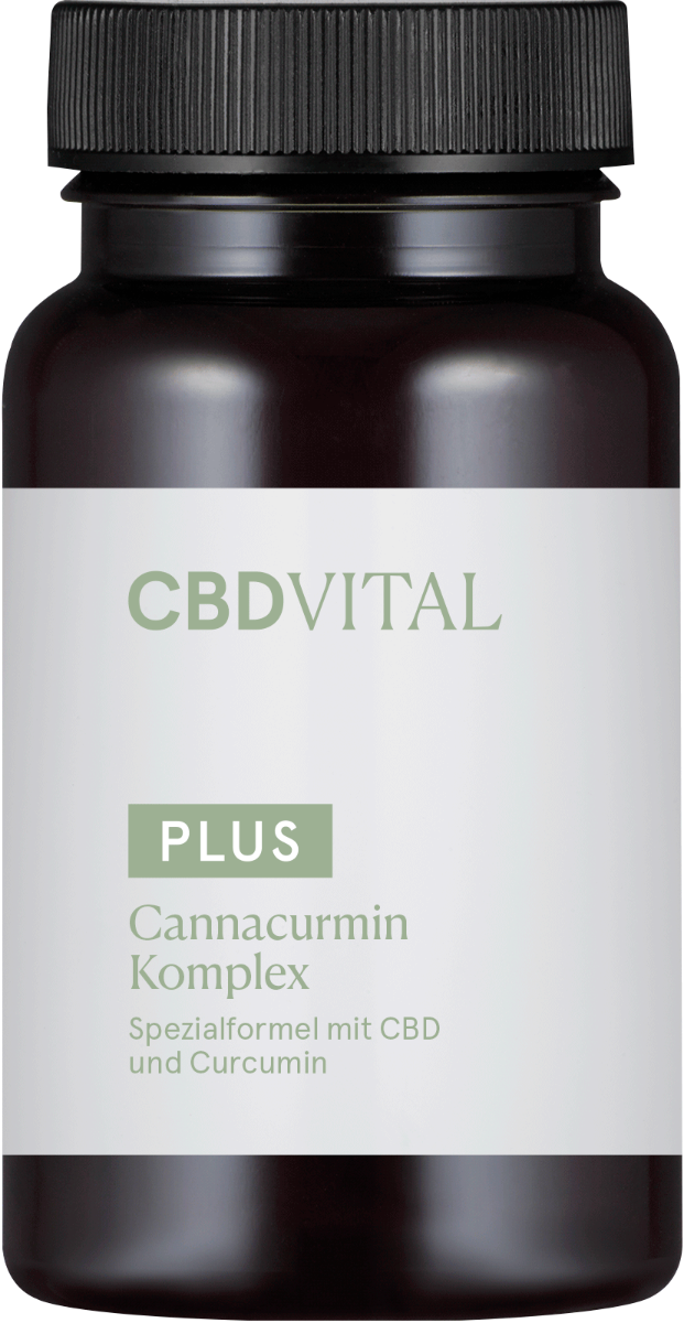 Kapseln Cannacurmin Komplex - CBD Vital