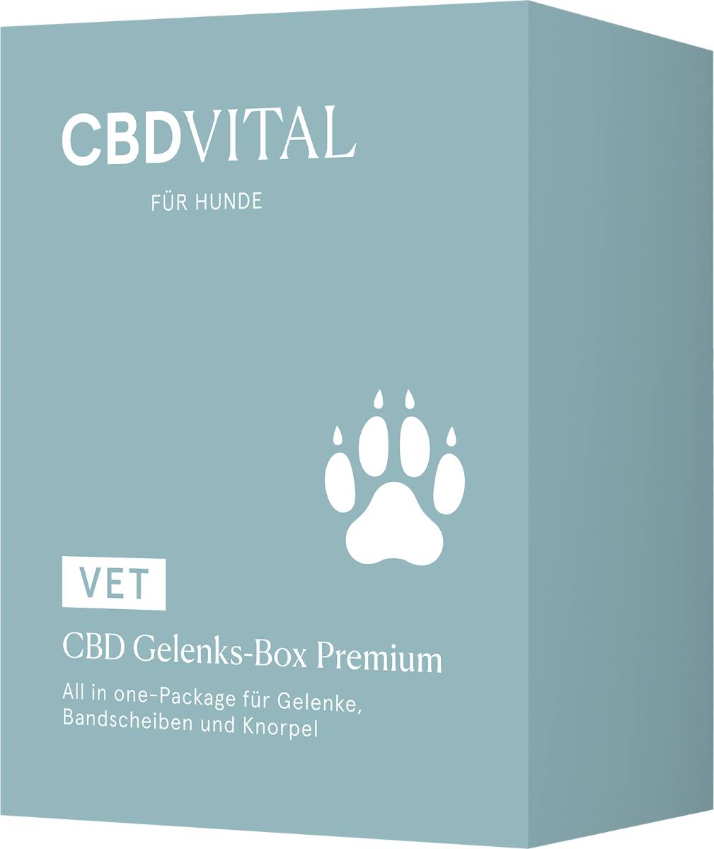 Box Gelenke für Hunde - CBDVital 